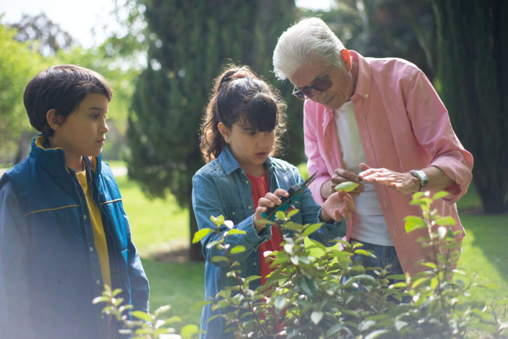 Why Grandparents Make Excellent Teachers